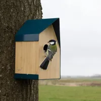 happy bird house vogelhuis
